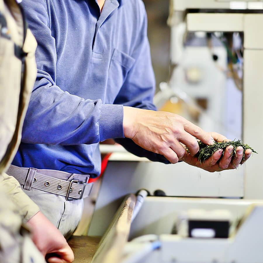 QUALITY CONTROL of Japanese Green Tea