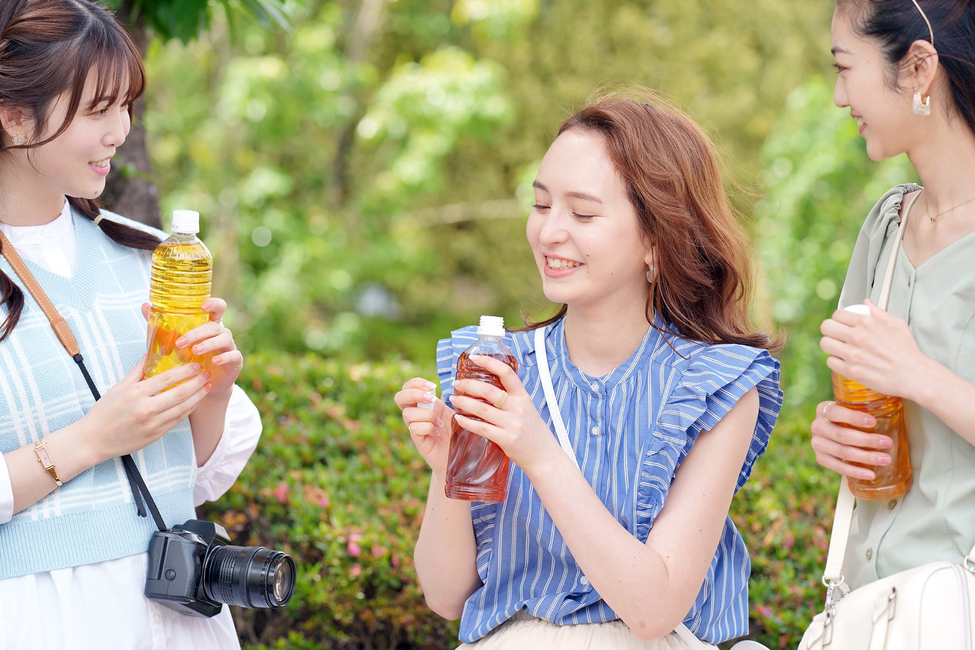 Hojicha in Japanese Culture