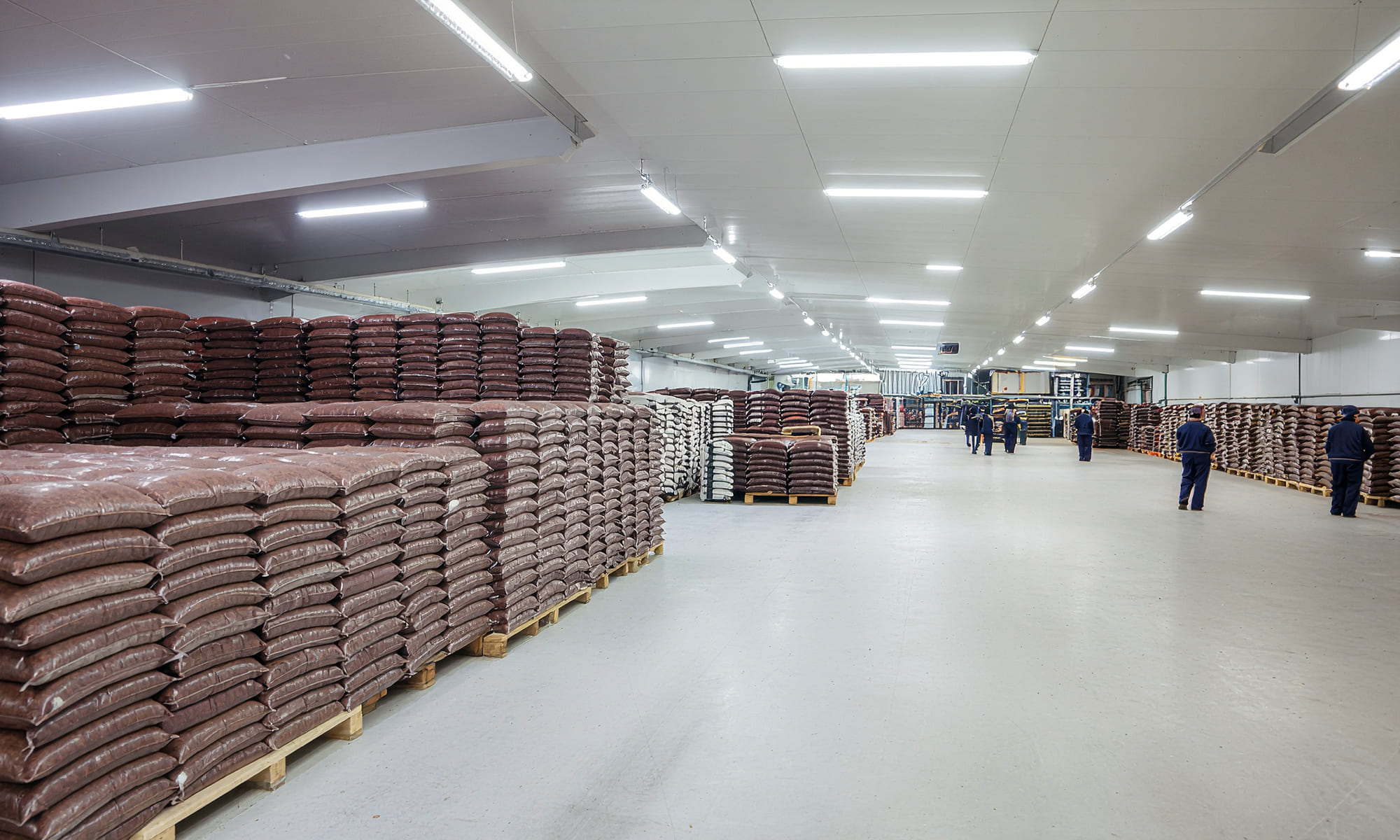 Large-scale tea storage facility with neatly organized bulk containers, industrial yet clean environment, workers handling tea in a professional setting, realistic B2B supply chain scene